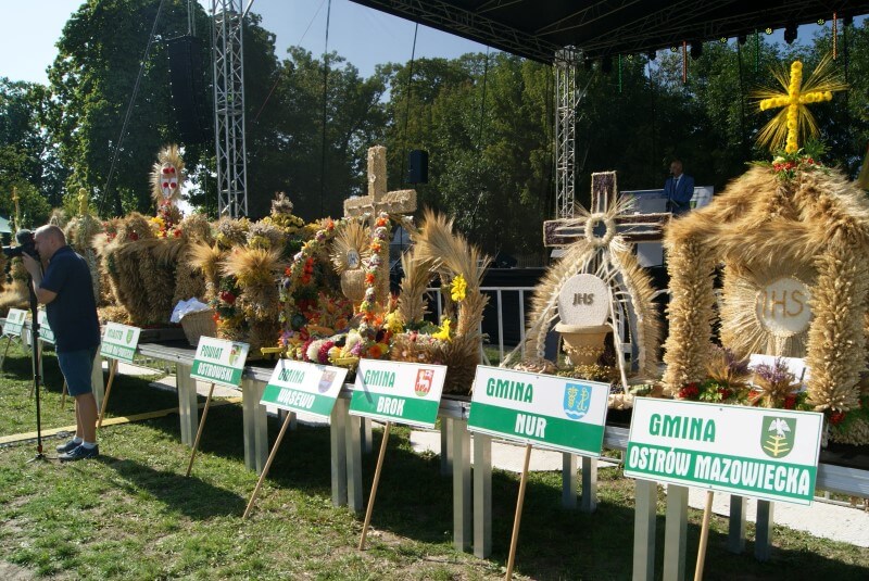 Dożynki w Ostrowi Mazowieckiej _ DSC01986 Dożynki Powiatowe w Ostrowi Mazowieckiej