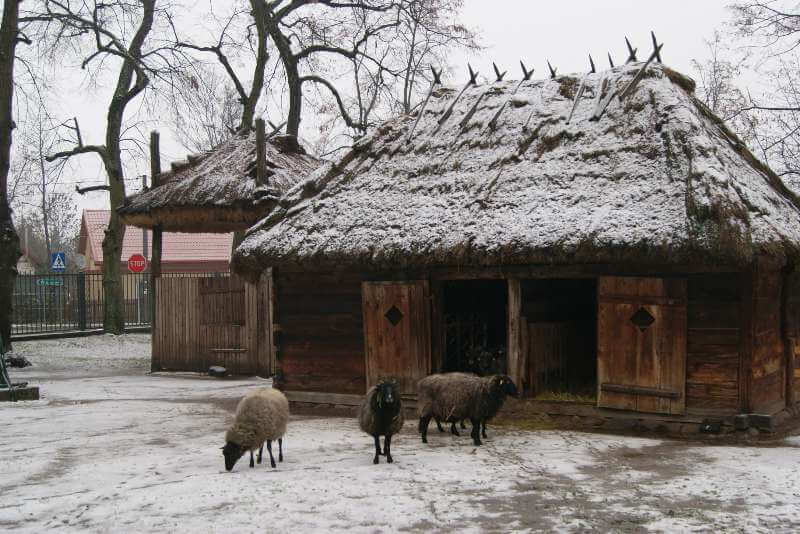 warsztaty świąteczne